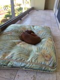 Pawsitively Cozy