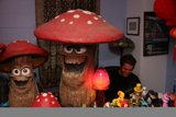 The Mushroom Hunter