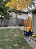 Summer Day in the Backyard