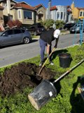 Digging Down to the Roots