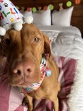 Happy Birthday, Furry Friend!