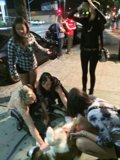 Urban Doggie Hangout