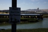 Echoing Nature's Plea, Bayfront Park