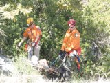 Hillside Hard Workers