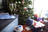 Festive Fir Tree