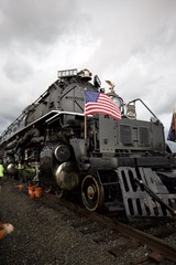 Union Pacific Big Boy 4014 Steam Locomotive Display
