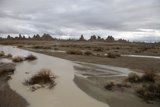 River oasis in the desert