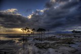 Stormy Beachscape