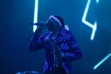 Purple Jacket Performance