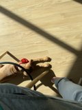 A Cozy Afternoon with Man's Best Friend