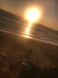 Sunset Stroll