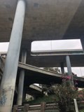 Urban Jungle