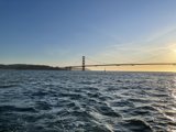 Golden Gate Glory