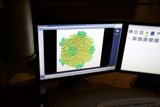 Dual Computer Monitor Display