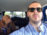 Joyride with my Pup