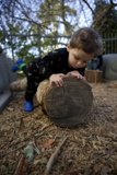 Innocence in the Heart of the Forest