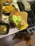Canine Appetite
