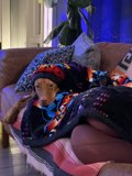 Cozy Canine Couch Companion