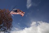 Proudly Waving in the Wind
