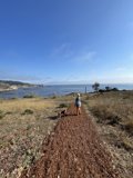 Coastal Trails with Canine Companion