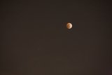 Lunar Eclipse in the Night Sky
