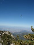 Flying High Above the Majestic Mountain Range