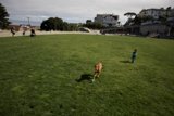 Joyful Moments at Francisco Park
