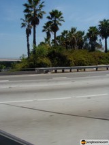Freeway Scenery on a Sunny Day