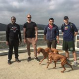Four friends and their furry companions on a hilltop bridge