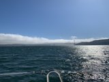 Sailing under the Golden Gate Bridge
