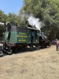 Green Locomotive on a Sunny Day
