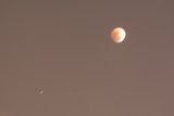 Lunar Eclipse with Mysterious Visitor