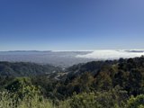 Overlooking the Fog-Covered Bay from Tilden Park