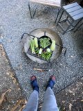 Grilling Up a Plant-Based Feast
