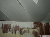 Mold Damage
