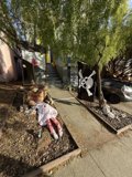 Haunted Sidewalks of San Francisco