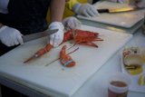 Lobster Preparation