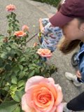 Blossoms and Smiles at Heather Farm Park