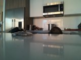 Kitchen Essentials