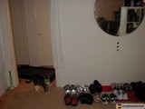 Feline Footwear Fashion