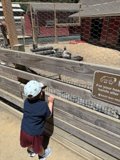 Curious Encounters at the Nature Area