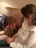 Couch Companion