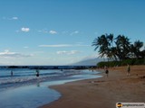 A Summer Day at the Hawaiian Shoreline