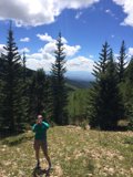 Standing Among the Conifers