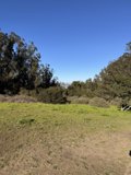 Serenity in Nature