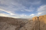Desert Majesty