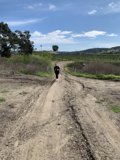 Running Along the Gravel Path