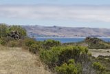 Whispering Shores of Cayucos