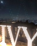 Vivid Viv
