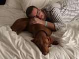 Man and Vizsla snuggle up on colorful bedding